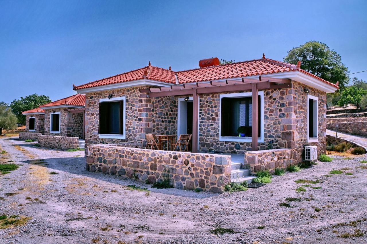 Villa Ktima Kiourelioti à Skala Sykamineas Extérieur photo